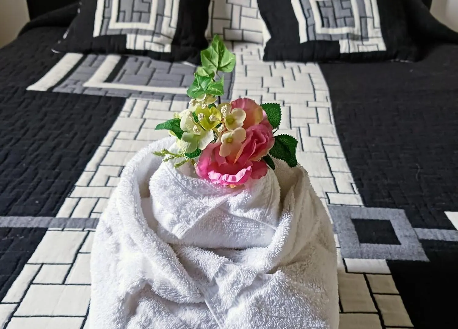 Hotel Du Lac Chateau-Arnoux-Saint-Auban